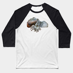 Young Goshawk in training Baseball T-Shirt